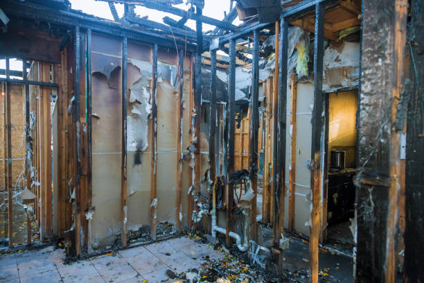Professional Fire Damage Removal technician working in Sanford, CO
